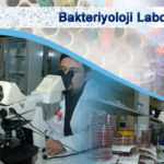 Bakteriyoloji Laboratuvarı Risk Değerlendirmesi