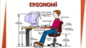 İSG Ergonomi Soruları
