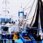 Balıkçı Gemilerinde Yapılan Çalışmalarda Sağlık ve Güvenlik