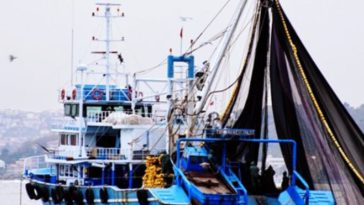 Balıkçı Gemilerinde Yapılan Çalışmalarda Sağlık ve Güvenlik